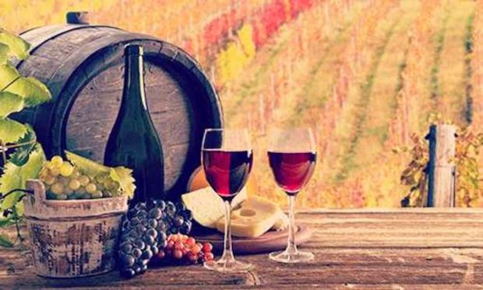 Albufeira Hen Do Ideas and Activities - Vineyard Tour