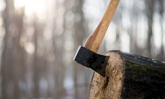 An axe in a plank of wood after axe throwing.