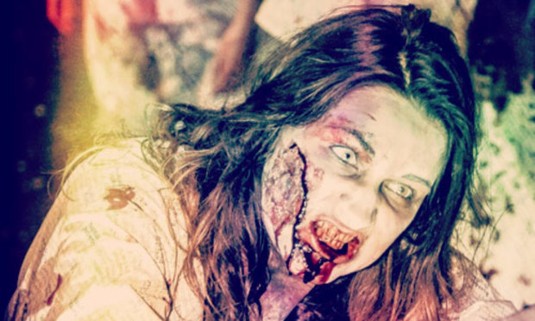 Zombie Swat Training