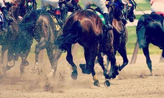 Nottingham - Hen Party Ideas & Activities - Horse Racing