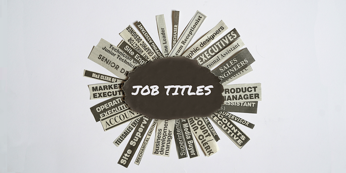 Job Titles