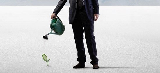 watering a plant
