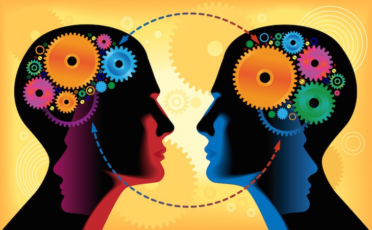 studying the brain