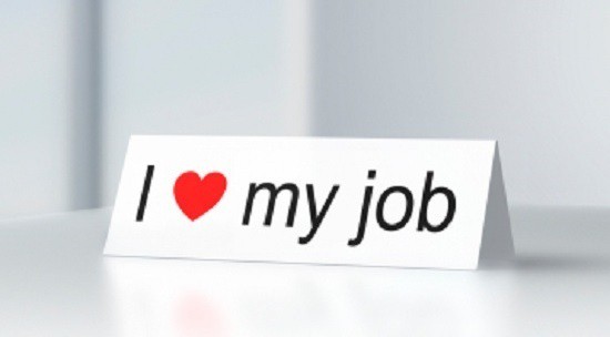 i love my job