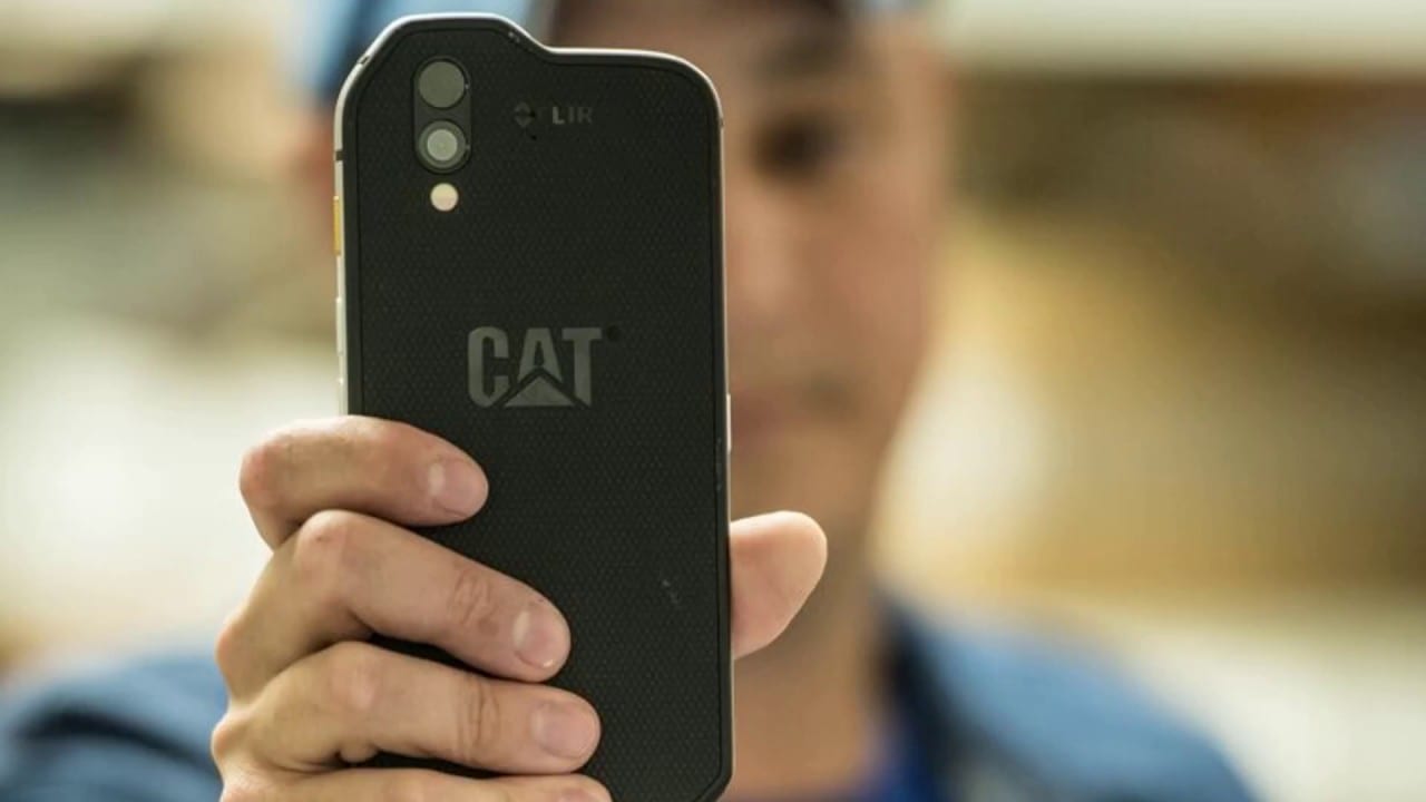 CAT s61 backside