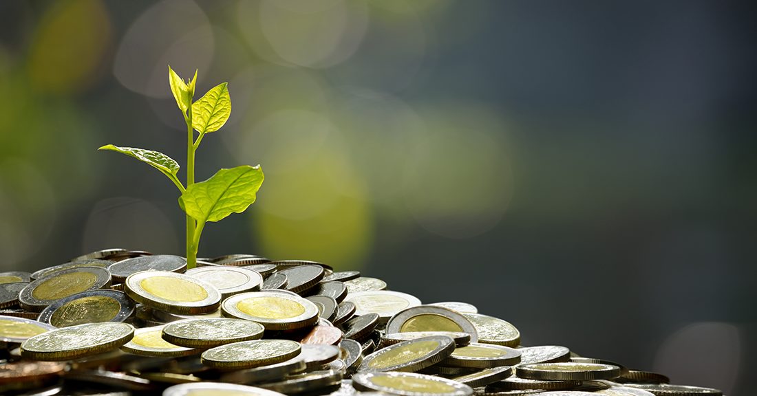 7 ركائز للنمو‎