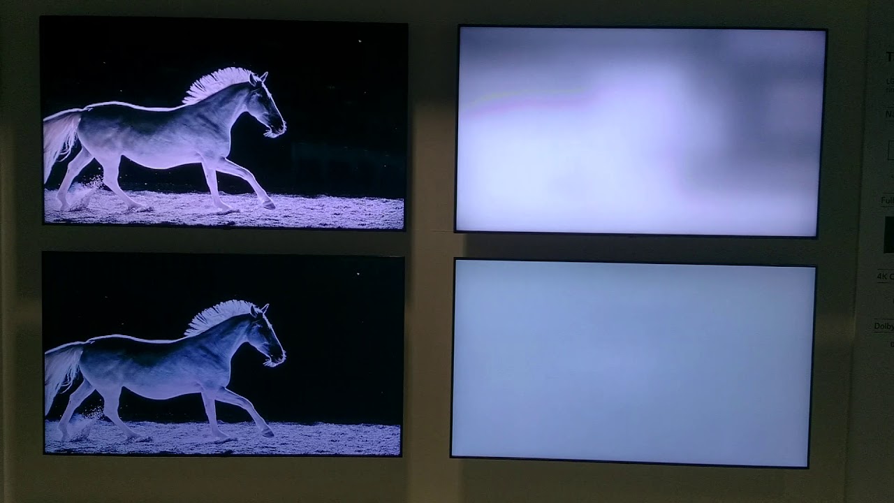 ما هو التعتيم المحلي لشاشات LCD؟ كيف يعم ولماذا هو موجود أصلاً؟