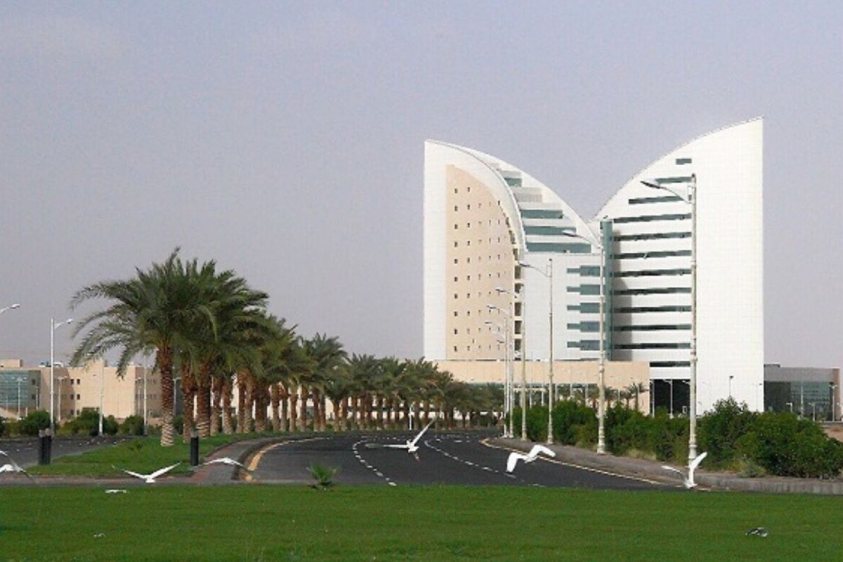 نظام بلاك بورد جامعة نجران