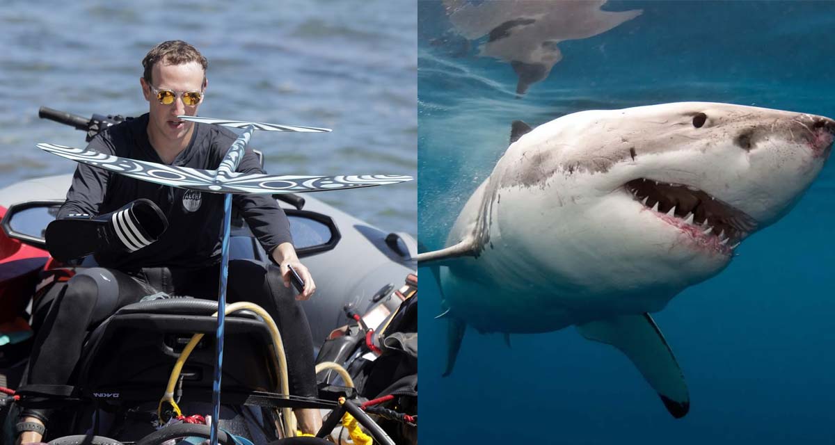 مع أنه عبقري تقني، زوكربيرغ يسقط في فخ سوار الحماية من القرش