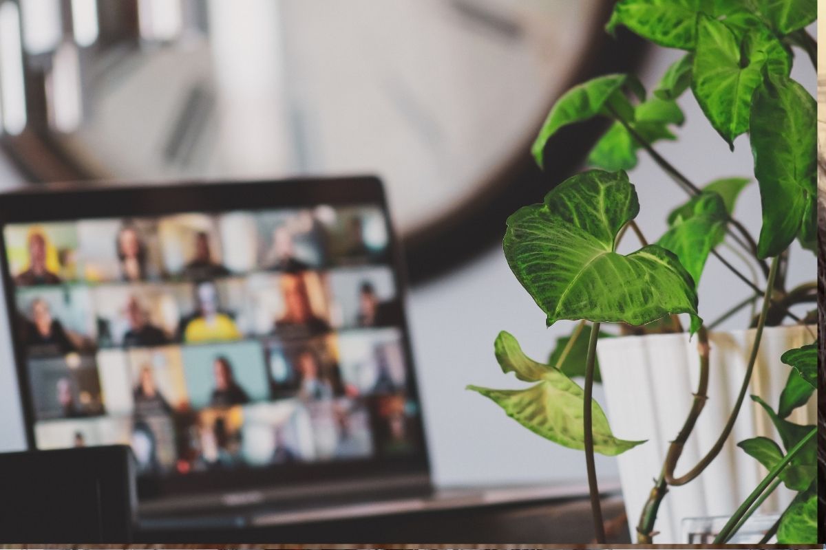 رفع الصورة برابط