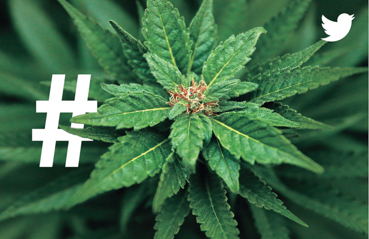 twitter weed