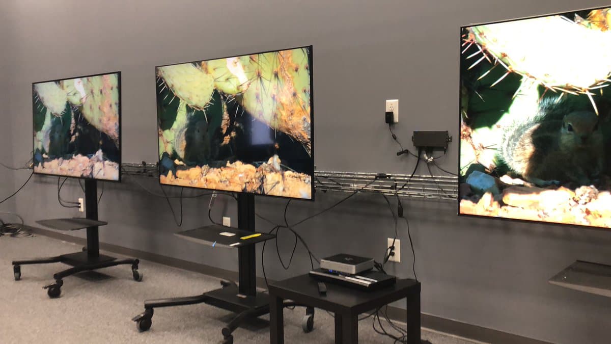 شاشات سامسونج QLED 2019