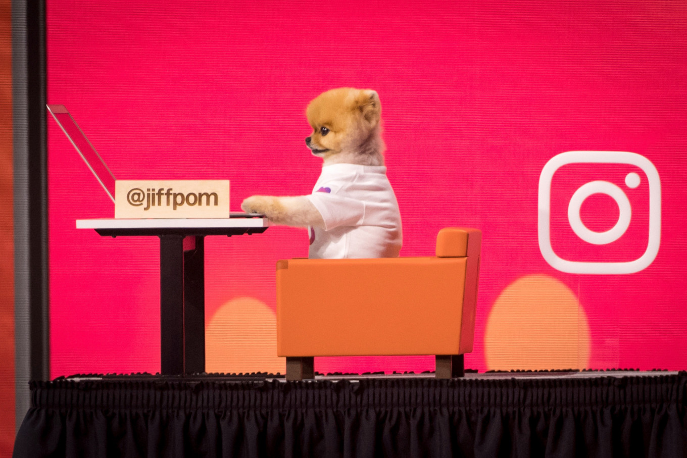 إنستجرام تختبر إزالة عدد الإعجابات على الصور والفيديوهات