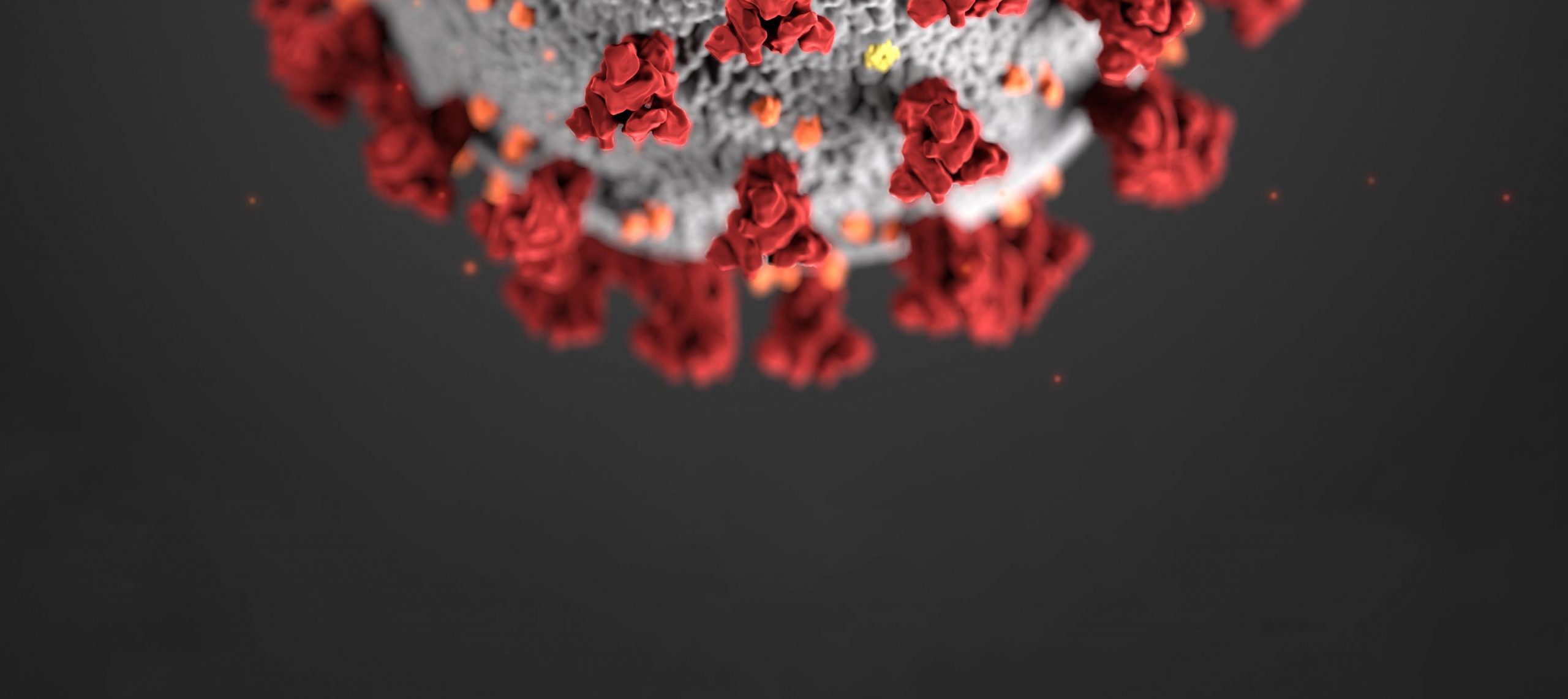 عمليات الاحتيال المتعلقة بكوفيد 19 لا تزال في ارتفاع