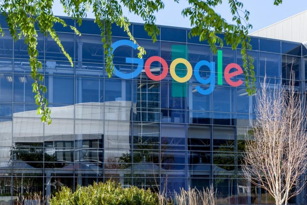 ارباح الفابت 2021