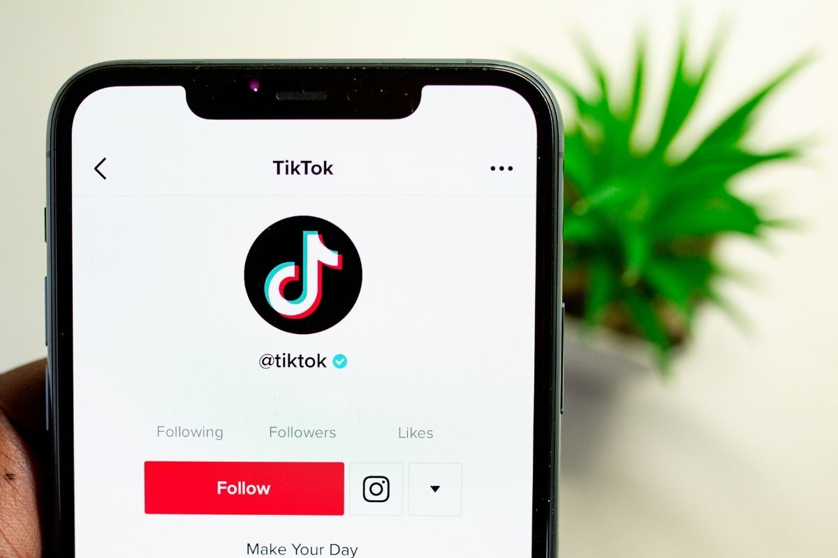 أرباح تيك توك