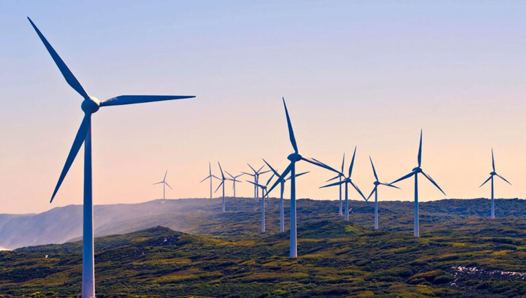 الإمارات تطلق مشروعاً كبيراً لطاقة الرياح على أعتاب استضافتها لمؤتمر COP28 المناخي