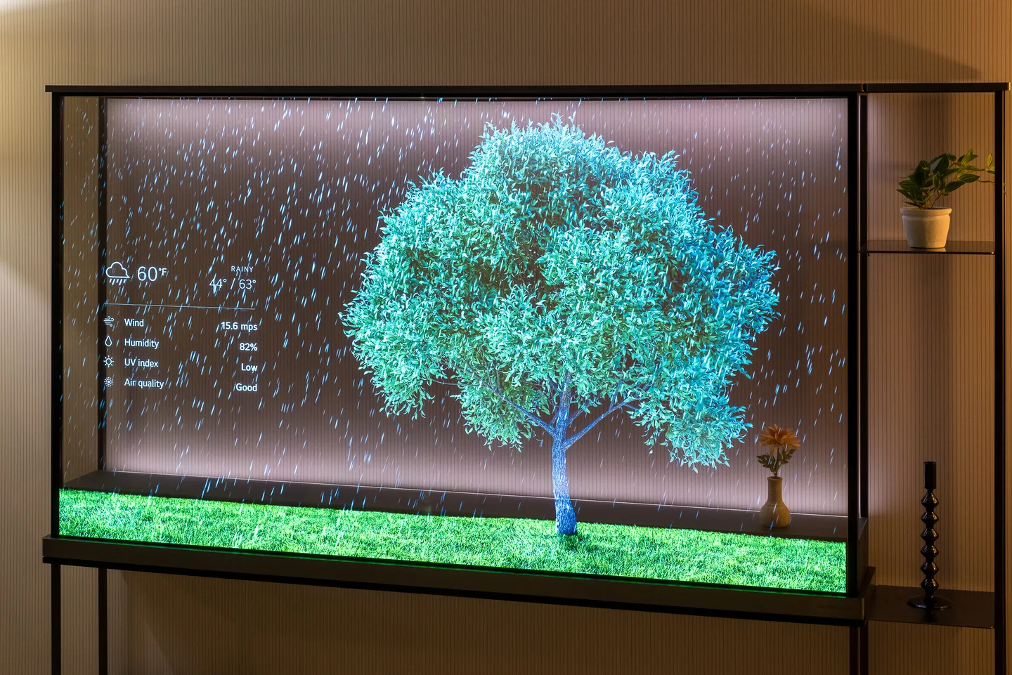 OLED Signature T