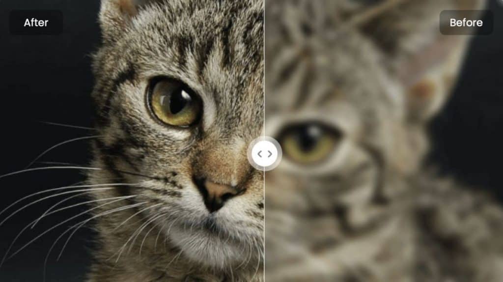 افضل 5 مواقع تحسين جودة الصور بالذكاء الإصطناعي في 2024