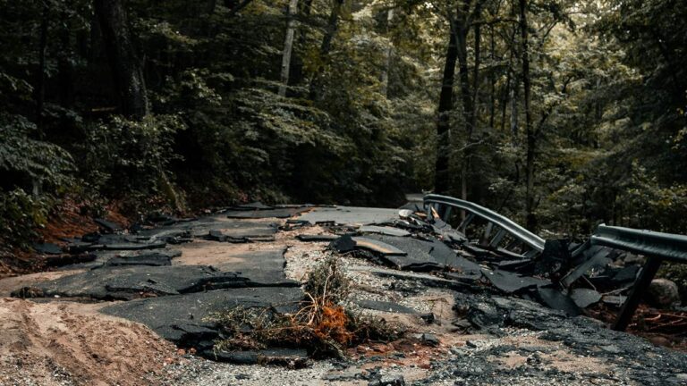 باحثون: الذكاء الاصطناعي بات قادراً على التنبؤ بالزلازل، وبدقة مثيرة للدهشة
