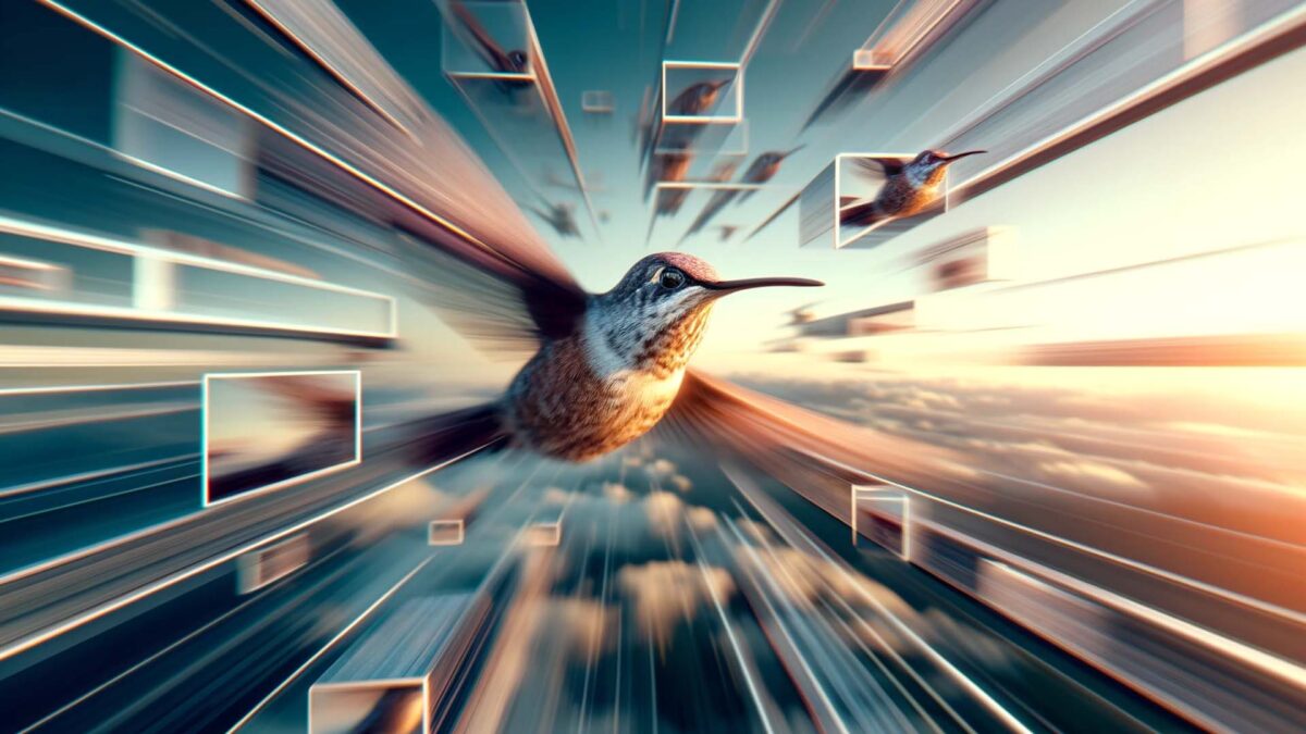 تقدر تتوقع او تعرف عينك تشتغل بكم فريم في الثانية او كيف ترى؟