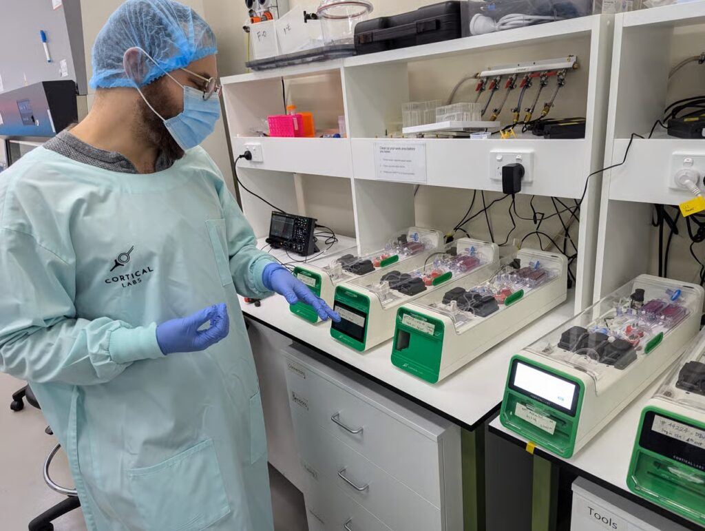 دماغ بشري على شريحة إلكترونية.. شركة تعلن عن إنتاج أول كمبيوتر بيولوجي في العالم