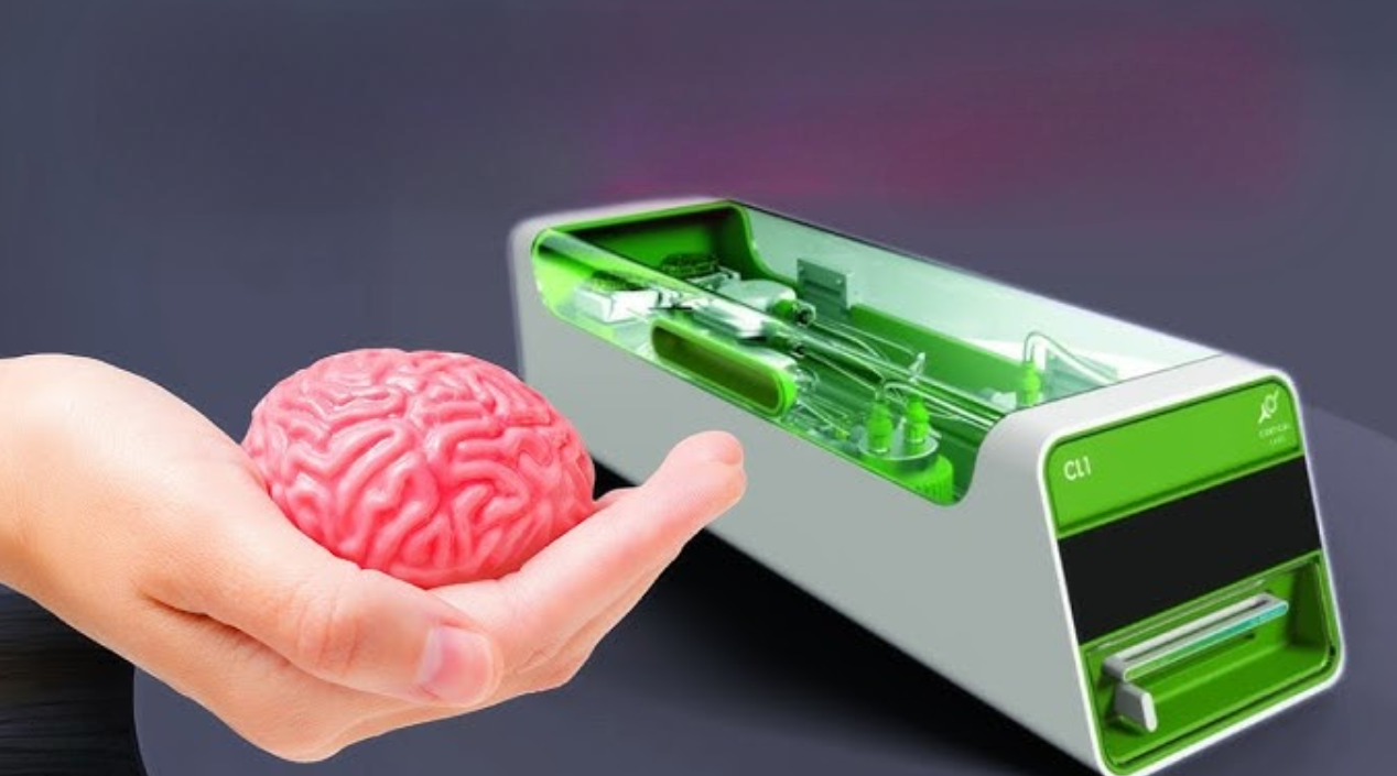 دماغ بشري على شريحة إلكترونية.. شركة تعلن عن إنتاج أول كمبيوتر بيولوجي في العالم