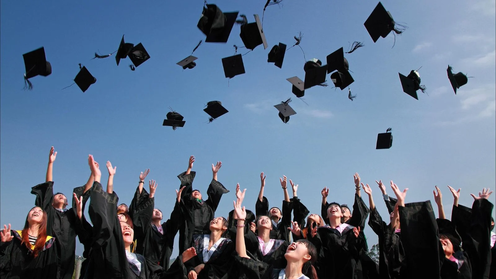 هذه القائمة من تخصصات جامعية مستقبلية تستطيع من خلالها الحصول على وظيفة في أي دولة في العالم!