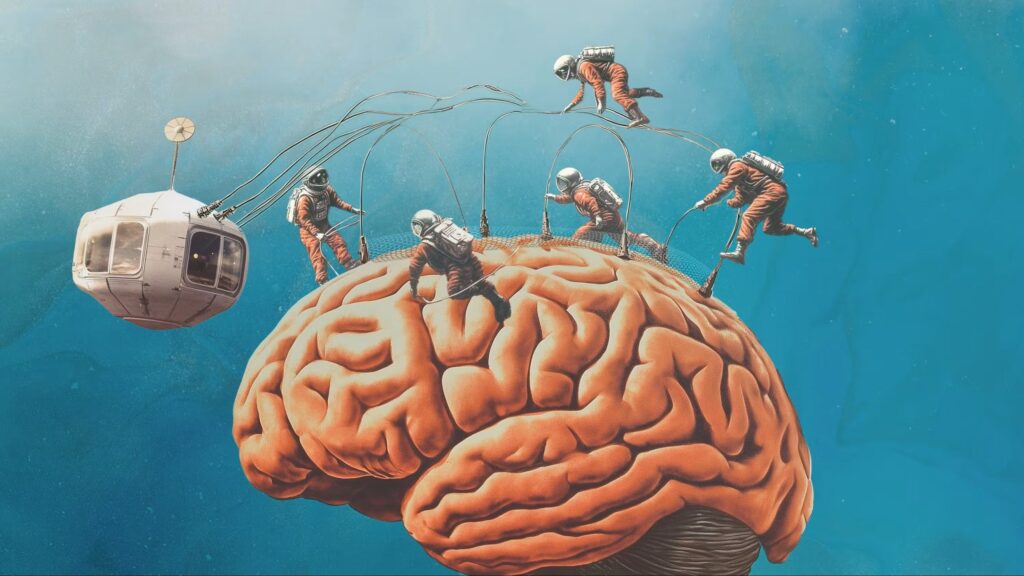 الشرائح الدماغية