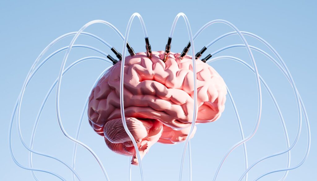 الشرائح الدماغية