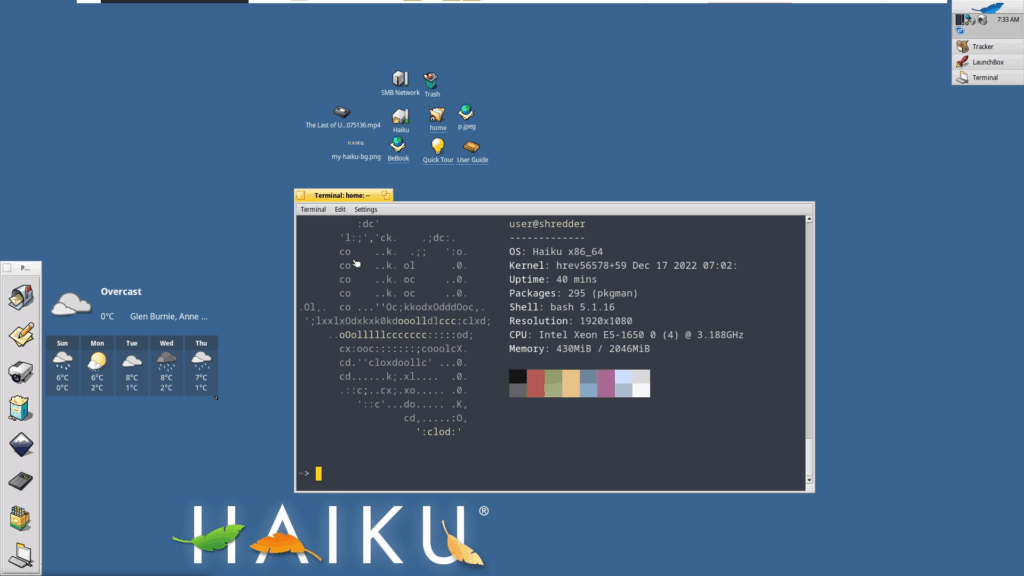 أفضل أنظمة تشغيل بديلة لويندوز 2025