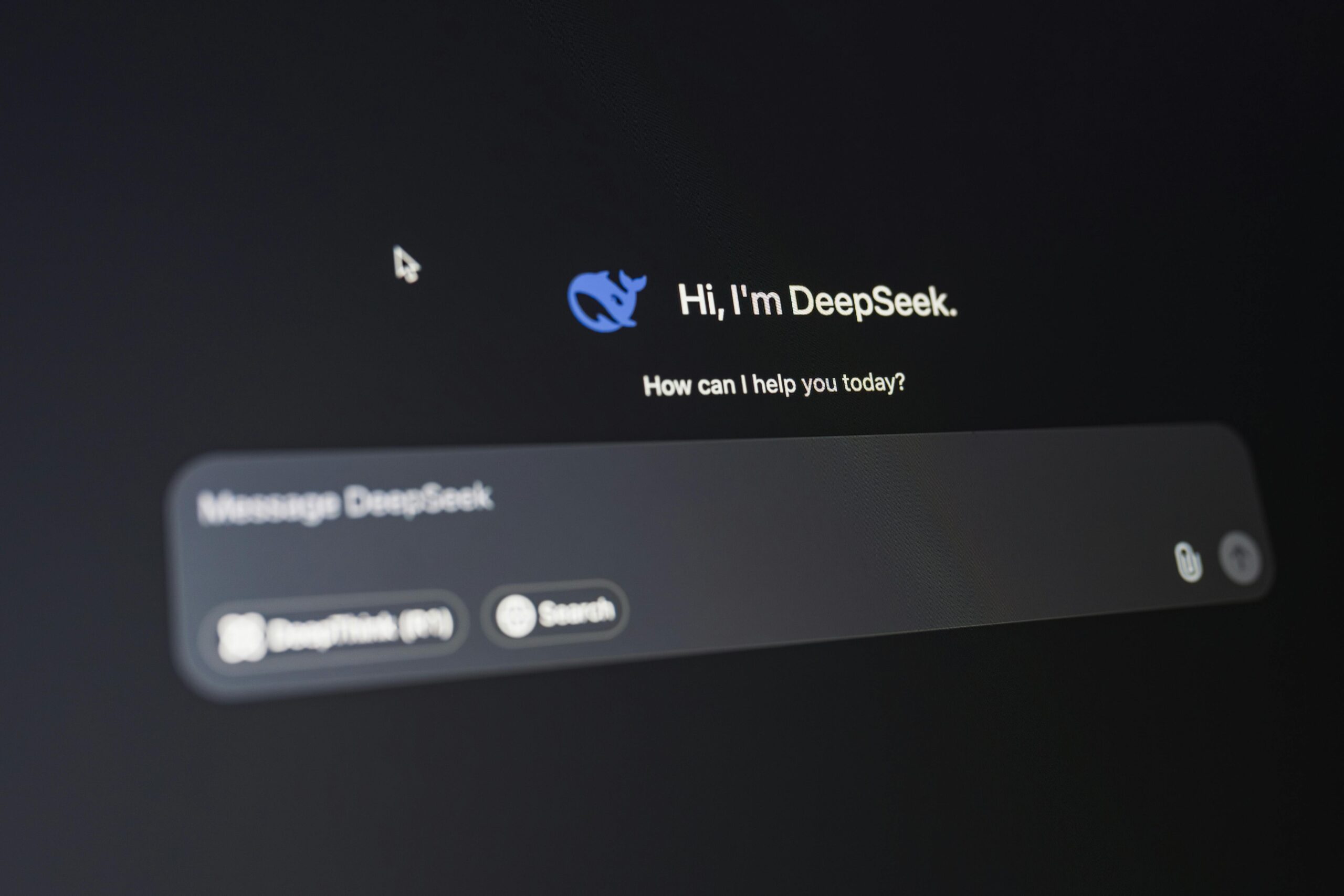 Deepseek AI Chat field