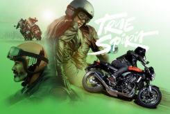 Kawasaki Z900RS 201823