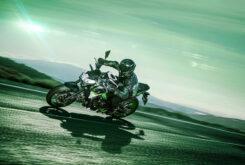 Kawasaki Z900 2021 (24)