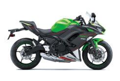 Nuevos descuentos y mayor cobertura para el seguro de regalo - Kawasaki Fernando Amantini 40 Kawasaki Ninja 650 2021 (6)