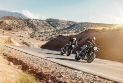 Kawasaki Z900RS 2021 (14)