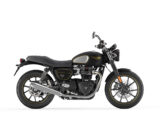 Kawasaki W800 2022 Fernando Amantini 2021 97 Triumph Street Twin Gold Line 2021 (6)