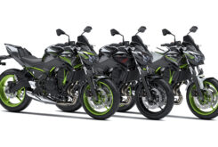 Kawasaki Z650 Sport 2021