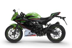 Kawasaki Ninja 125 2021 (3)