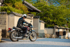 Kawasaki W800 2022 Fernando Amantini 2021 81 Kawasaki W800 2022 (11)