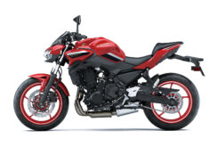 Fernando Amantini Kawasaki Z650 50 Aniversario 2022 10 Kawasaki Z650 50 Aniversario 5