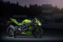 Kawasaki Ninja ZX 4RR 20236