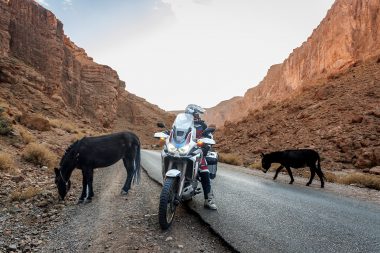 MBKWeb Honda Africa Twin Marruecos 2023 28