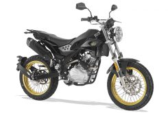 Rieju Tango 125i Scrambler 20237