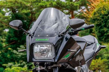 Kawasaki Z800 GPZ900R Custom Revolutions 1