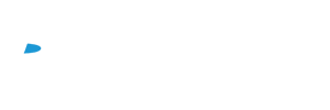 DELI TYRE
