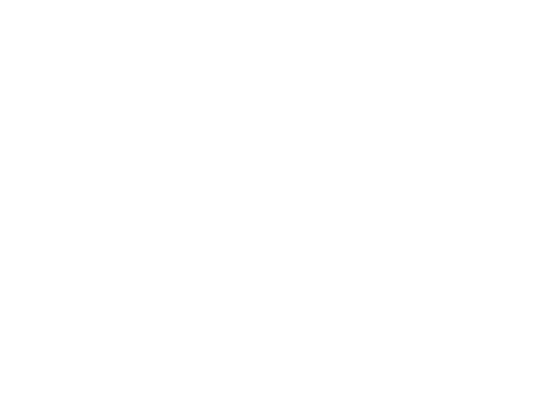 Egypt Foods Group 