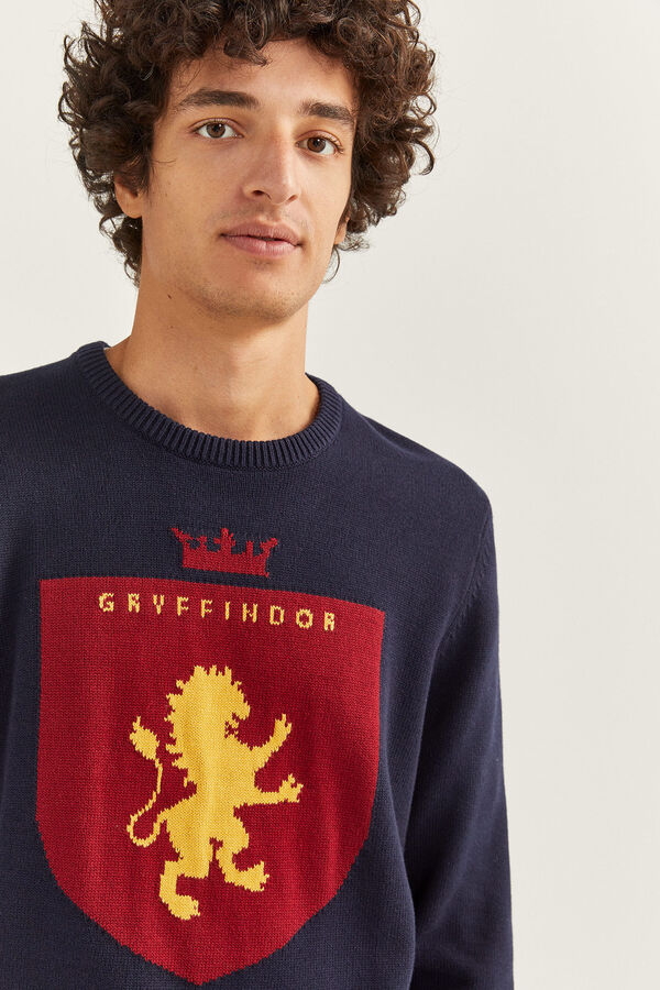 Jersey Harry Potter por 9,99€ en Springfield