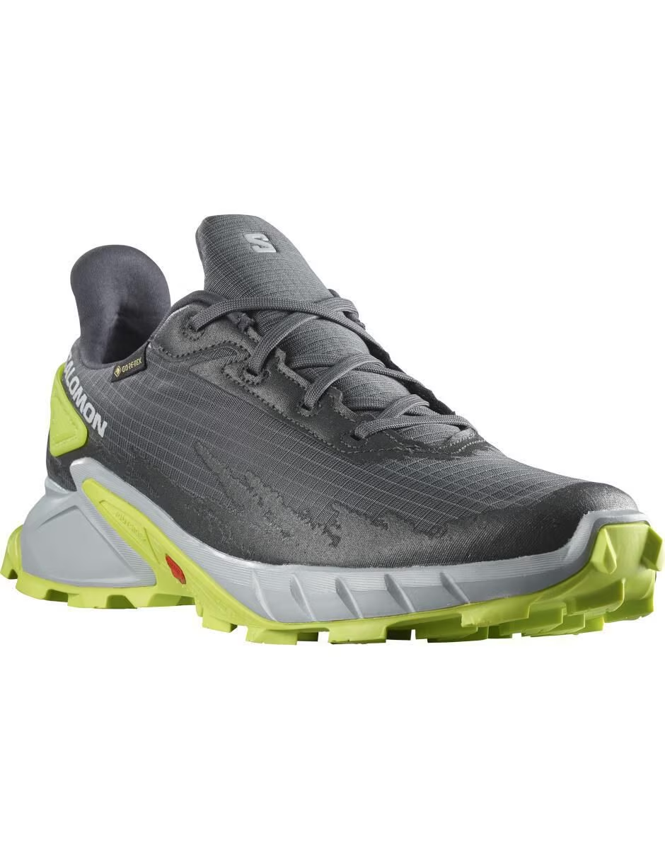Salomon Alphacross 4 GTX a 1,854 en Suburbia