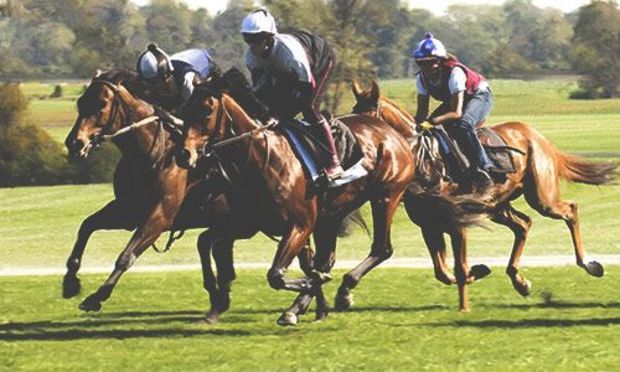 Fancy a Flutter Horse Racing for Stag Weekends